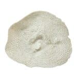 Decor,wall,coral,resin,