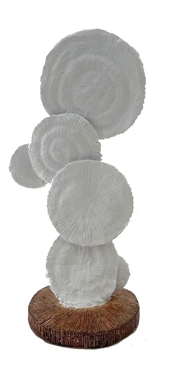 WhatsApp-Image-2023-04-18-at-13.51.03.jpeg resin,coral,decor,